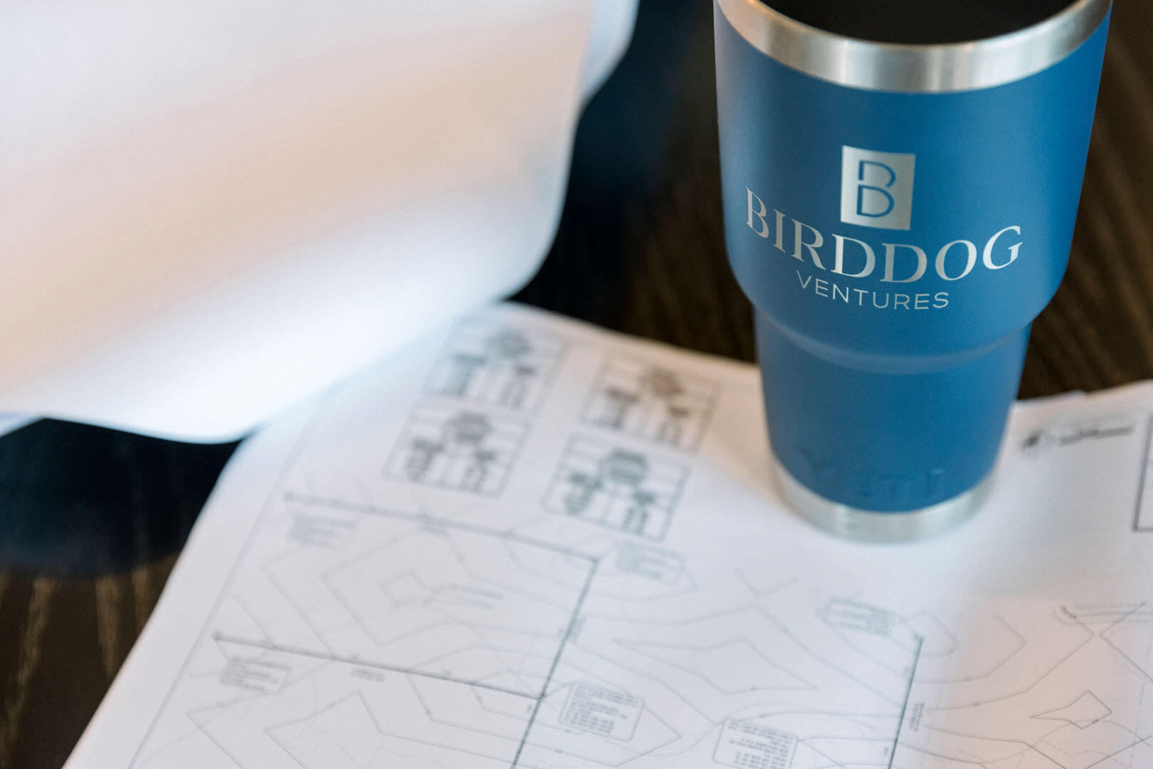 Birddog Ventures Dallas / Fort Worth Texas Real Estate Investment